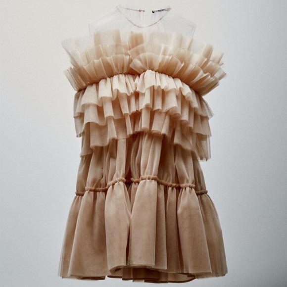 ZARA Tulle Dress Limited Edition Beige Pink Size L - Picture 13 of 13